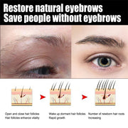 Eyebrow Growth Serum Thicker Fuller Lashes and Brows