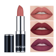 Mattes Lippenstift-Set, wasserfest